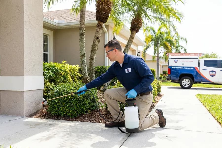 Pest Control services in Florida