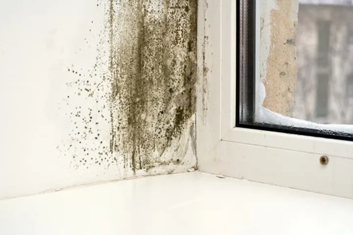 SERVPRO of Osceola County photo 2