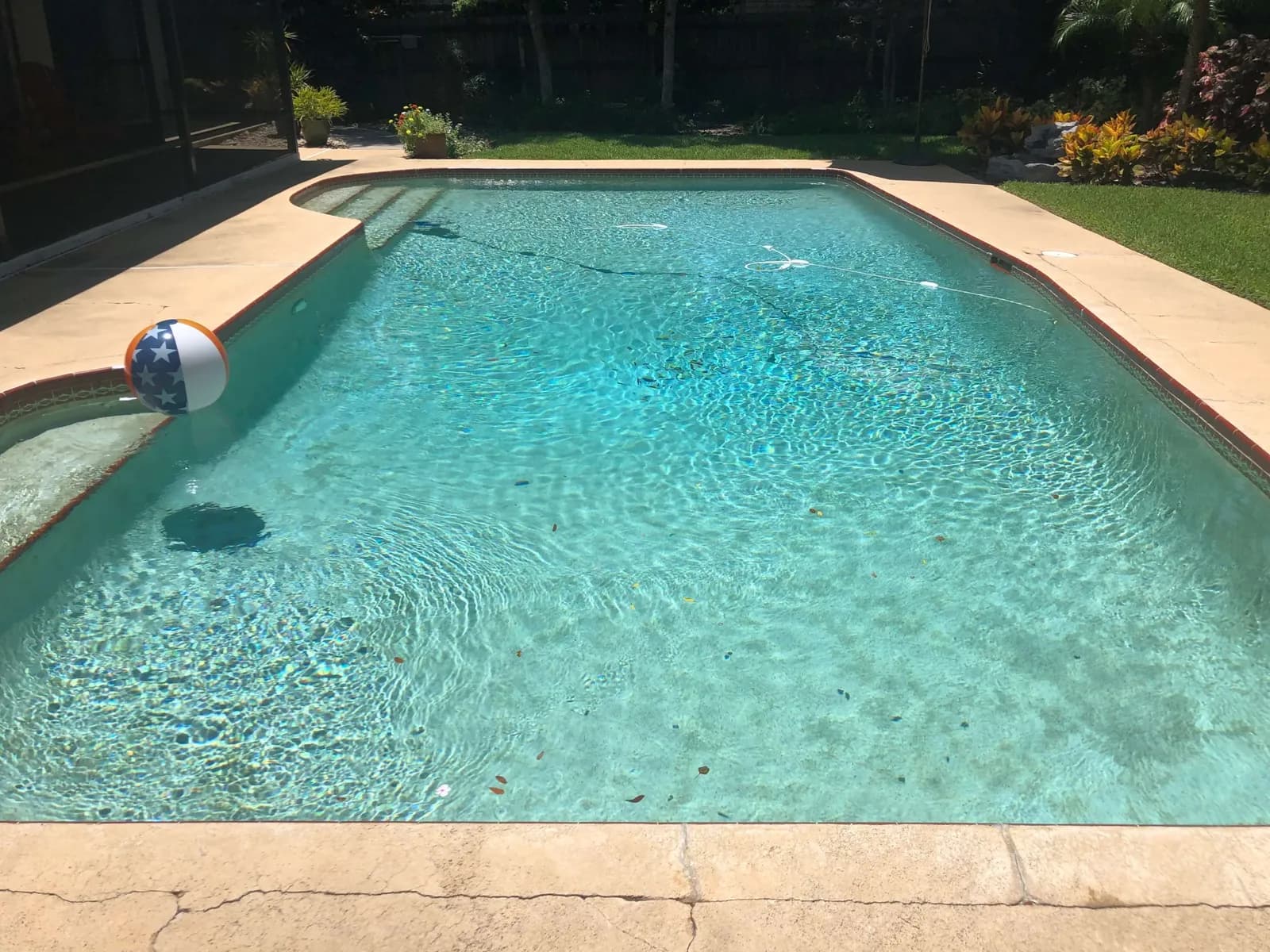 The Pool Specialist photo 3