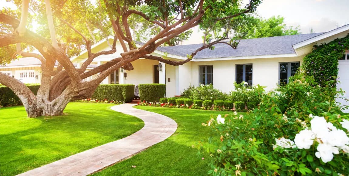 GreenMasters Outdoor photo 2