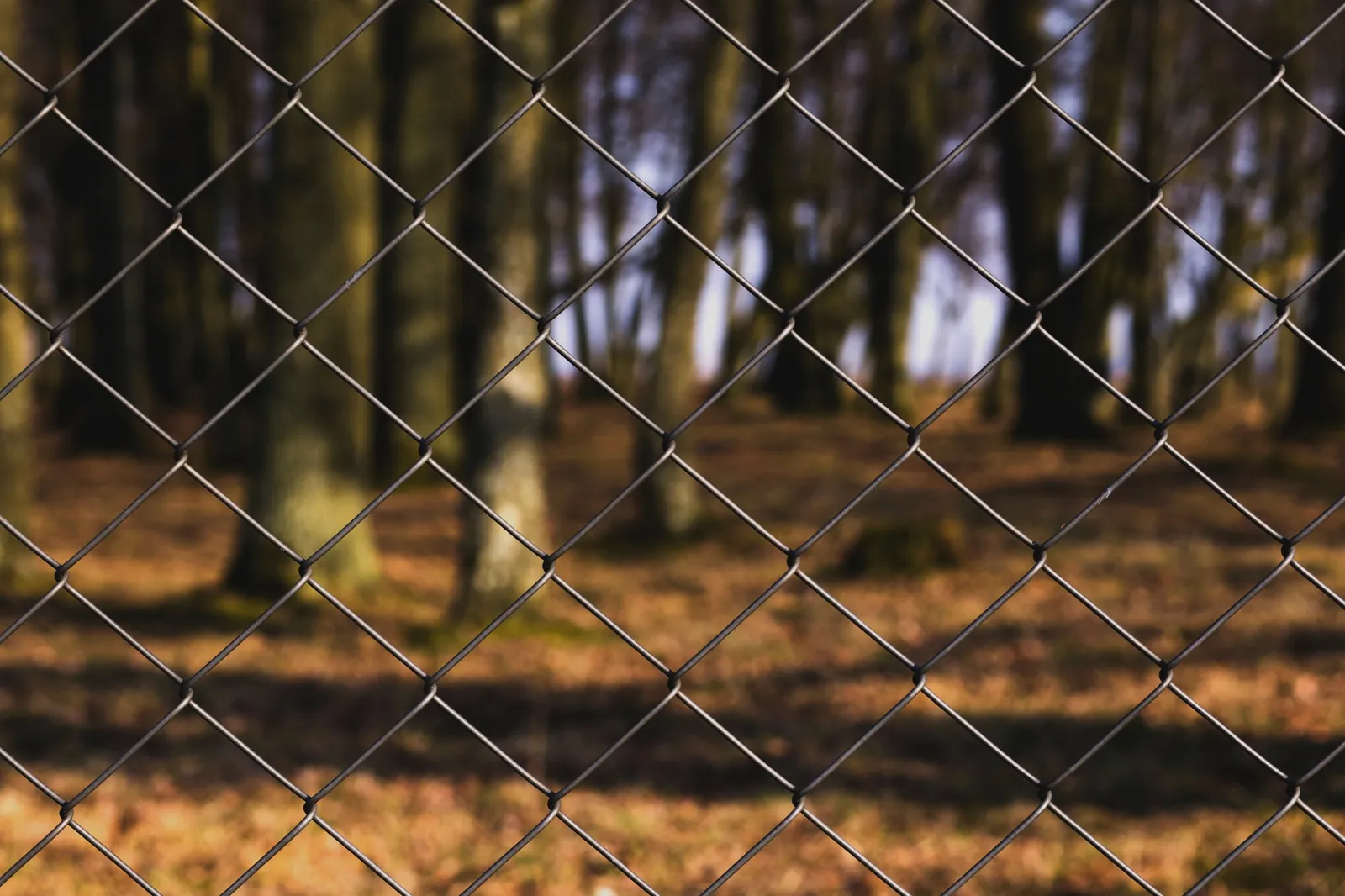 Walker's Fence Co Inc photo 3