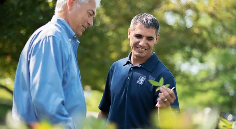 U.S. Lawns of Kissimmee photo 3