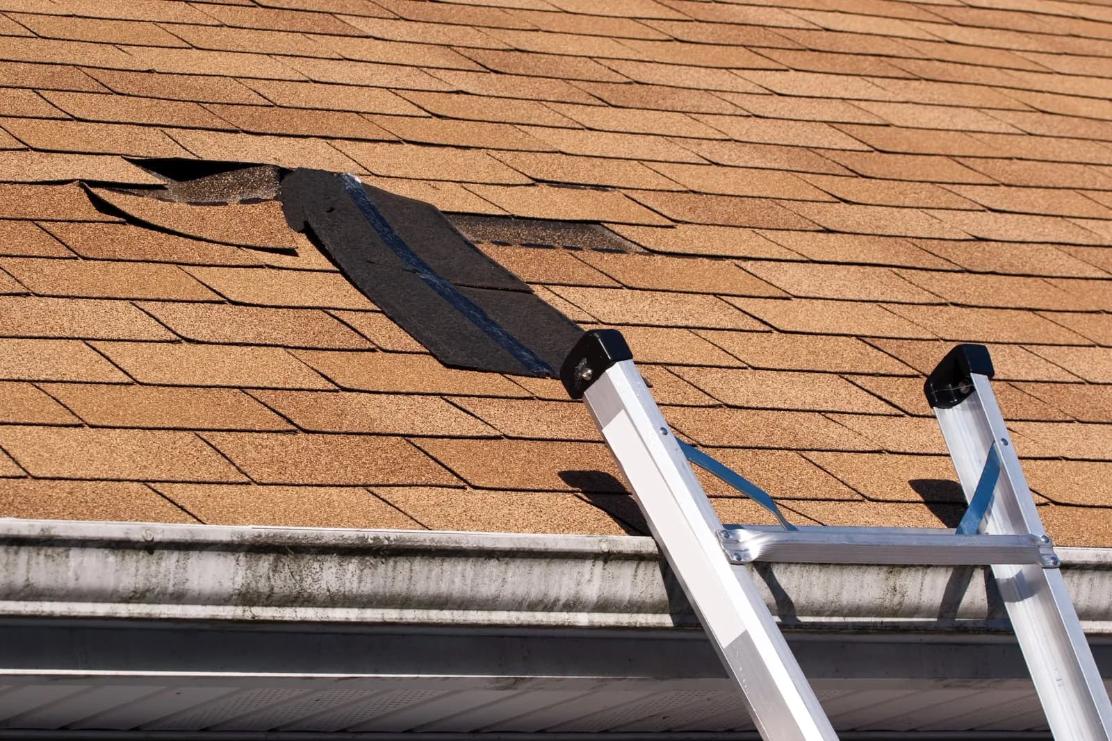 Top Rank Builder and Roofing photo 2
